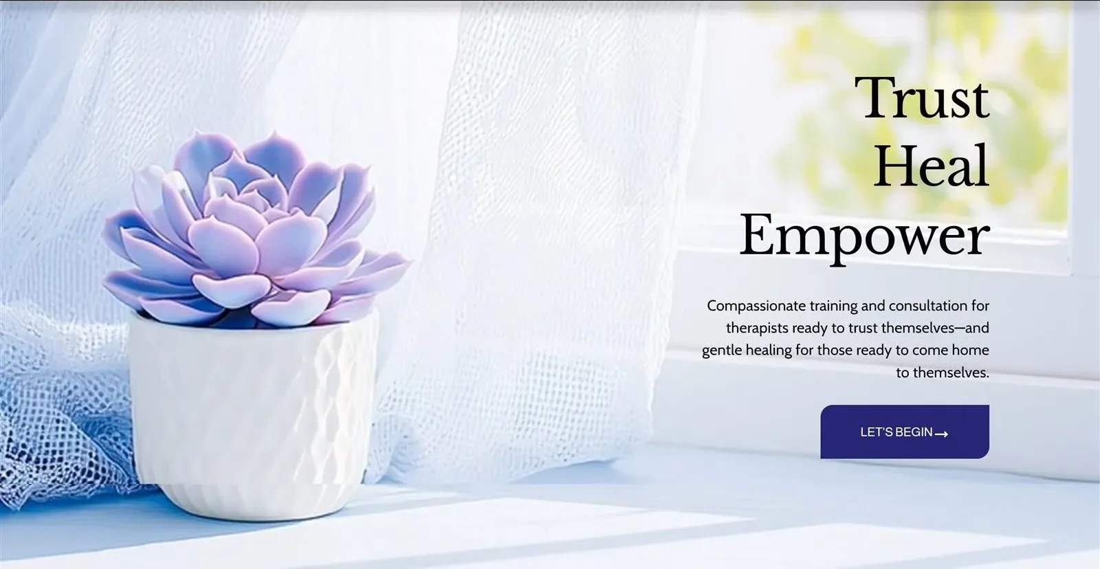 Empower Healing, feature image